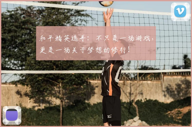 和平精英选手:不只是一场游戏,更是一场关于梦想的修行!