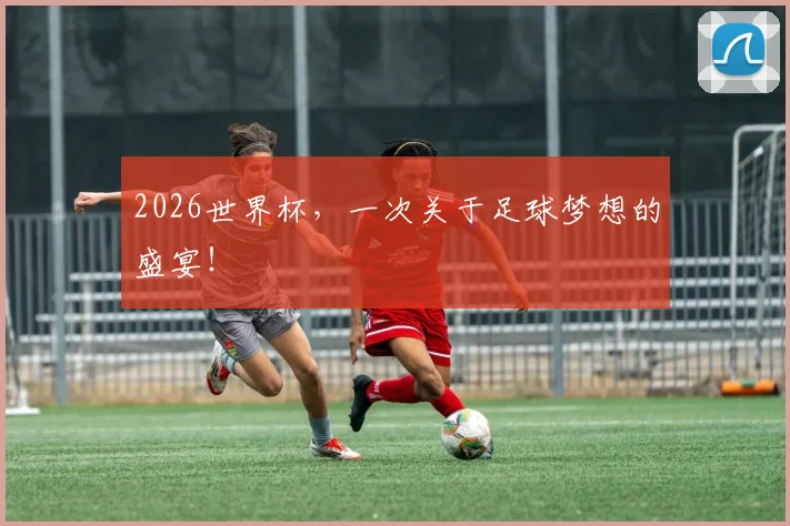 2026世界杯,一次关于足球梦想的盛宴!