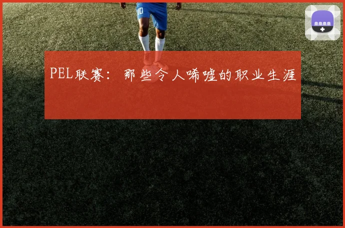 PEL联赛:那些令人唏嘘的职业生涯