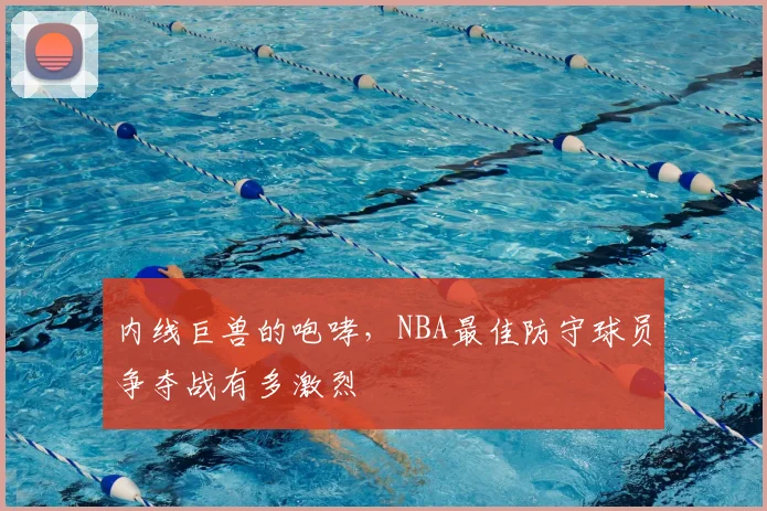 内线巨兽的咆哮,NBA最佳防守球员争夺战有多激烈