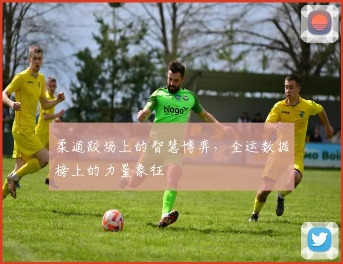 柔道跤场上的智慧博弈,全运数据榜上的力量象征