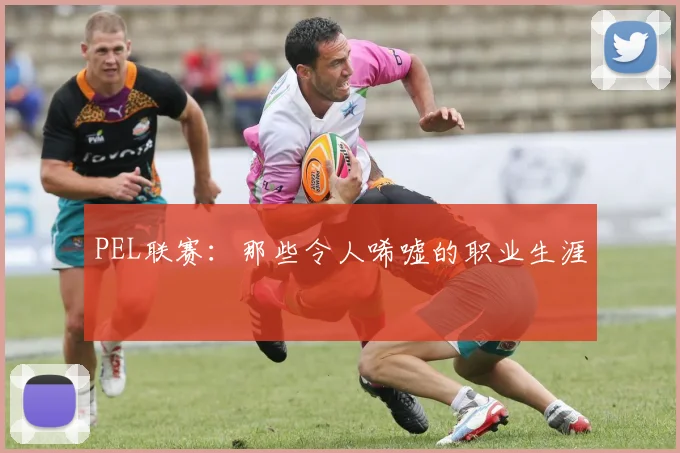 PEL联赛：那些令人唏嘘的职业生涯